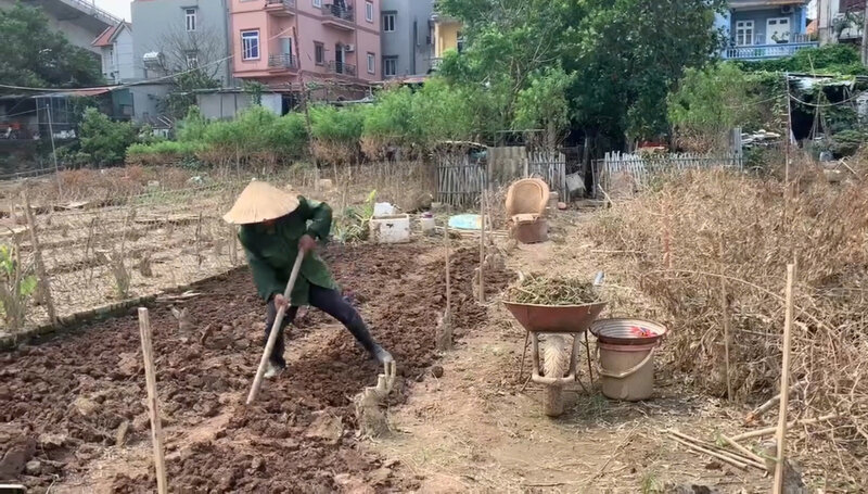 Tây Hồ hỗ trợ người dân ở làng đào Phú Thượng sau bão lũ. Ảnh: Công Hòa