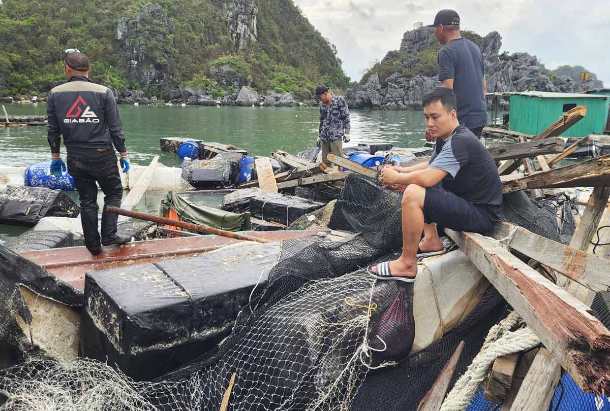 Ngư dân huyện Vân Đồn, tỉnh Quảng Ninh dọn dẹp sau bão số 3. Ảnh: Nguyễn Thành