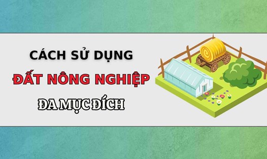 Dùng đất nông nghiệp đa mục đích không cần phải chuyển đổi. Đồ họa: Thạch Lam
