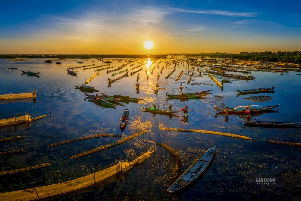 Tam Giang - Cau Hai la he thong dam pha nuoc lo lon nhat Dong Nam A voi he sinh thai da dang. Noi day uoc tinh co khoang 1.300 loai, bao gom cac nhom loai quy hiem, thuc vat phu du, loai rong va thuc vat thuy sinh, ca, chim...