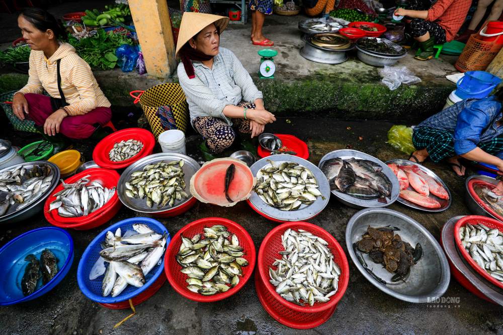 De mua duoc thuy hai san tuoi ngon khach hang phai den day tu rat som boi khu cho nay thuong cung ket thuc rat som. 