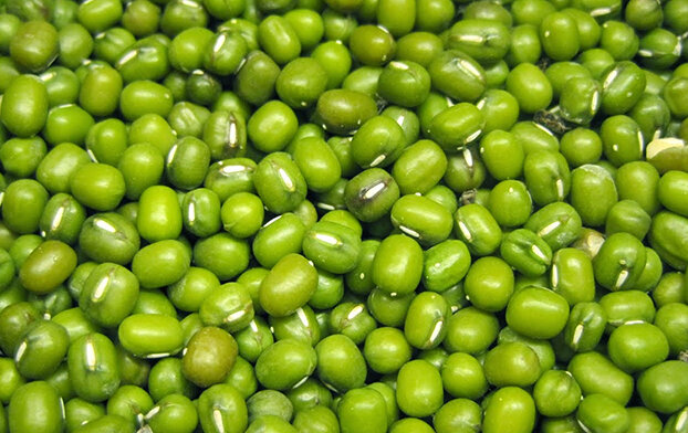 Đậu xanh được cho là có tác dụng giảm cân và hạ đường huyết hiệu quả. Ảnh: Kiều Vũ