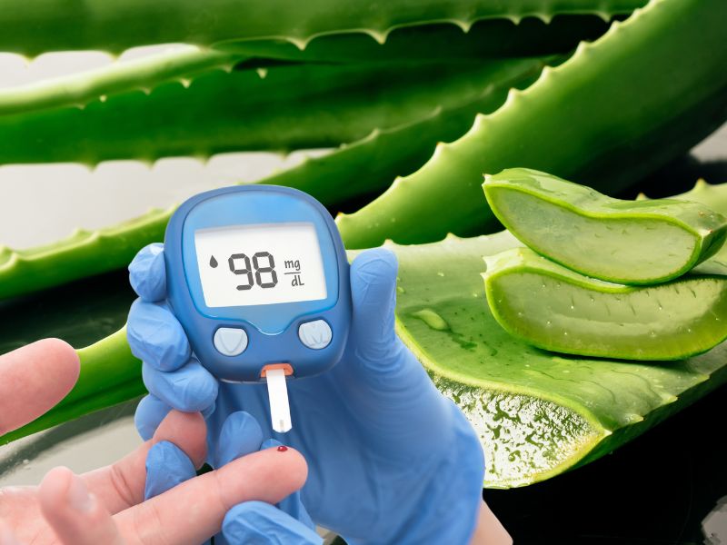 Nha đam giúp ngừa đường huyết tăng đột biến. Đồ họa: Hạ Mây