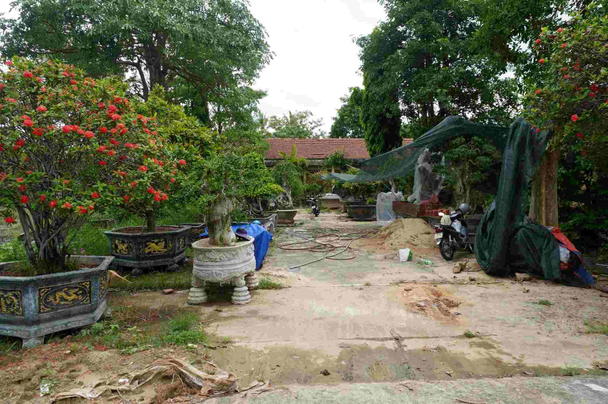 Trụ sở Phòng GDĐT huyện Sơn Tịnh thuộc phường Trương Quang Trọng hiện trở thành nơi bán cây cảnh. Ảnh: Viên Nguyễn