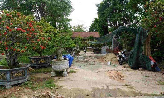 Trụ sở Phòng GDĐT huyện Sơn Tịnh thuộc phường Trương Quang Trọng hiện trở thành nơi bán cây cảnh. Ảnh: Viên Nguyễn