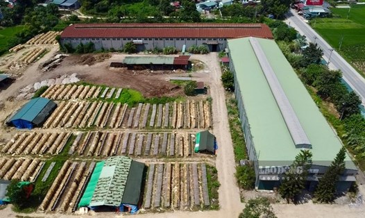 Dự án ôtô ở Bắc Kạn đầu tư hàng chục tỉ đồng rồi bỏ hoang, chuyển đổi thành xưởng gỗ. Ảnh: Việt Bắc.