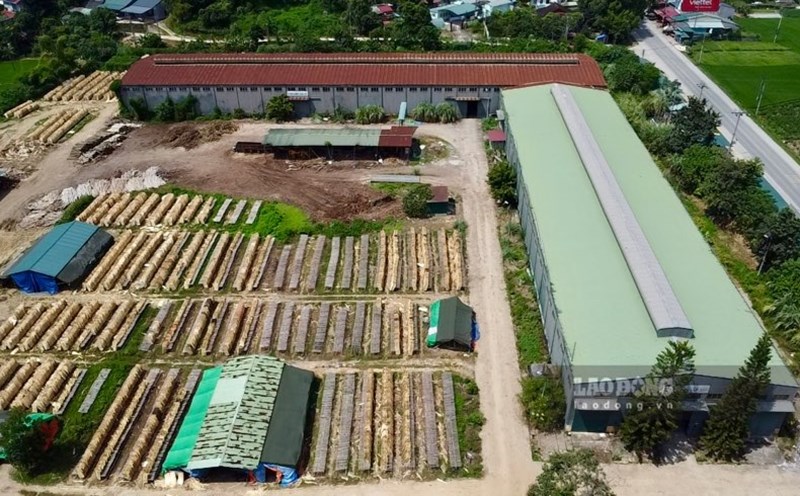 An automobile project in Bac Kan invested tens of billions of dong and then abandoned it and converted it into a wood workshop. Photo: Viet Bac.