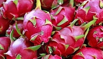 Thanh long là loại trái cây được cho có thể hỗ trợ giảm mỡ bụng và giảm cân. Ảnh: Kiều Vũ