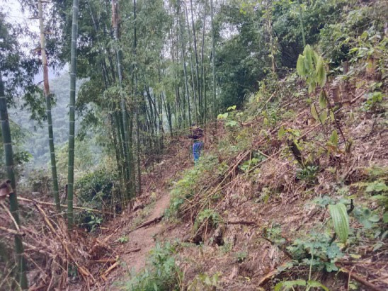 Vi tri sat lo tai xa Van Mai, huyen Mai Chau. Anh: Cong an Mai Chau.