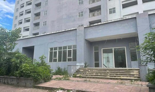 Khu nhà tái định cư Đền Lừ III (quận Hoàng Mai, Hà Nội) đến nay vẫn đang bỏ trống lãng phí. Ảnh: Lan Nhi