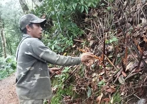 Việc bẫy chông để phòng ngừa trộm cắp, không dẫn đến hậu quả nghiêm trọng. Ảnh: Thanh Tuấn