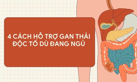 4 cách thải độc gan tốt ngay cả khi đi ngủ. Ảnh ghép: HƯƠNG SƠN