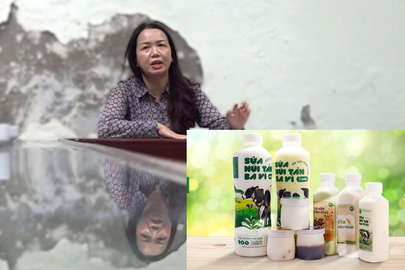 Sữa 2 năm tuổi cung cấp cho gần 20 trường học ở Đan Phượng.