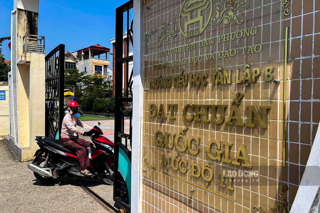 Trường Tiểu học Tân Lập B.