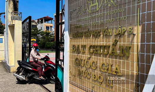 Trường Tiểu học Tân Lập B.