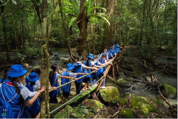 Hundreds of students and teachers participated in the "Forest Experience" program. Photo: Provided by the Organizing Committee