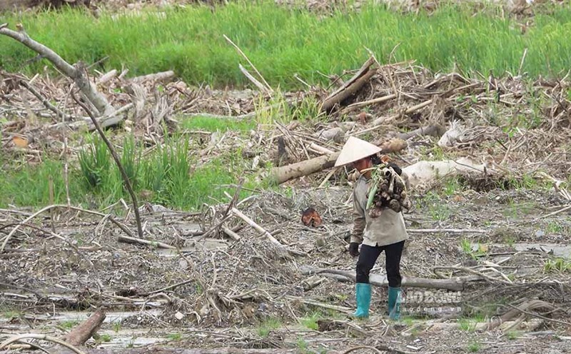 After the flash flood, the debt burden is weighing heavily on the shoulders of the lucky survivors. Photo: Thanh Binh