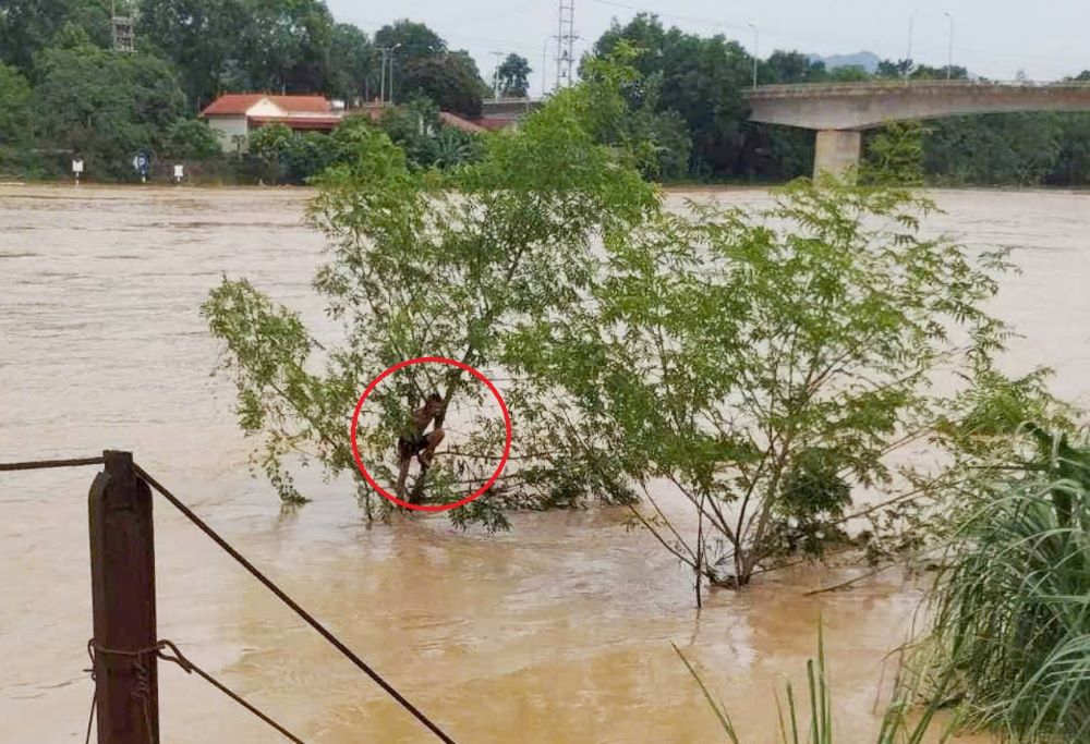 Nguoi dan ong may man duoc giai cuu sau khi bi nuoc lu cuon troi 2km. Anh: Nguoi dan cung cap