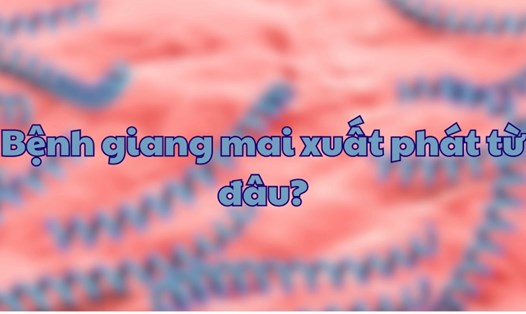 Bệnh giang mai xuất phát từ đâu? Ảnh: Phương Anh