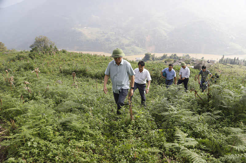 Đoàn công tác thị xã Sa Pa kiểm tra khu vực bố trí tái định cư cho người dân. Ảnh: Hồng Hải