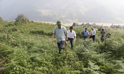 Đoàn công tác thị xã Sa Pa kiểm tra khu vực bố trí tái định cư cho người dân. Ảnh: Hồng Hải