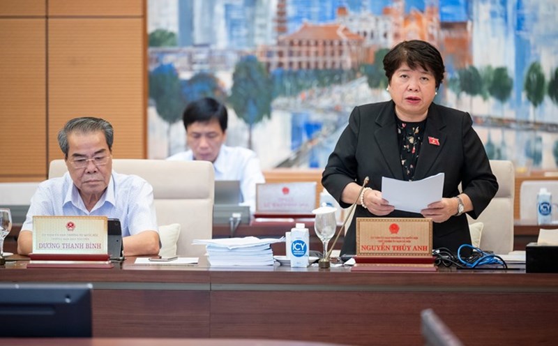 Chairman of the Social Committee of the National Assembly Nguyen Thuy Anh. Photo: Quochoi.vn
