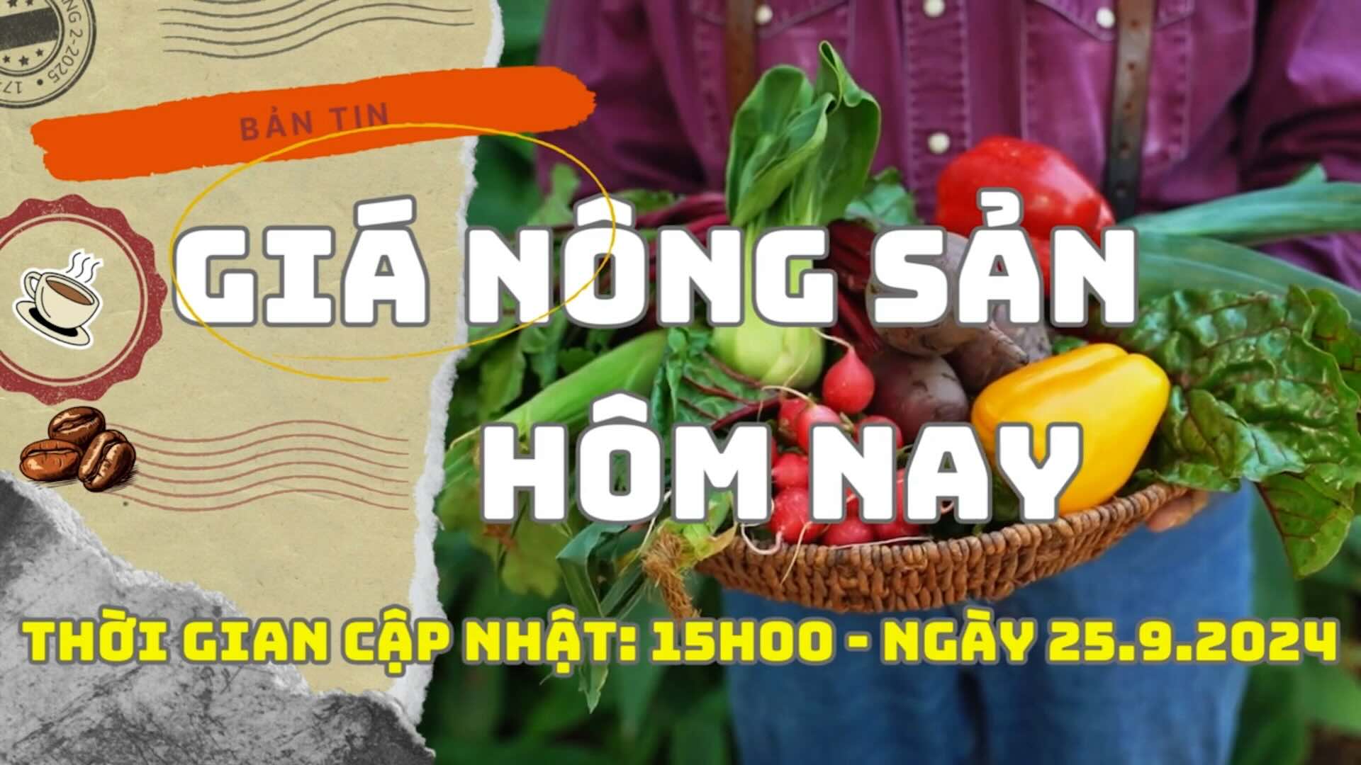 Today's Agricultural Prices 9/25: Pepper prices drop up to 3,000 VND/kg