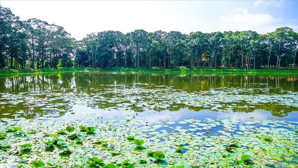 Ao Ba Om la danh lam thang canh noi tieng cua tinh Tra Vinh toa lac tai khom 4, phuong 8, thanh pho Tra Vinh. Anh: Ta Quang. 