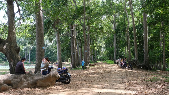 Duoi nhung tan cay xanh mat, du khach co the hoa minh voi thien nhien de thu gian. Anh: Phong Linh. 