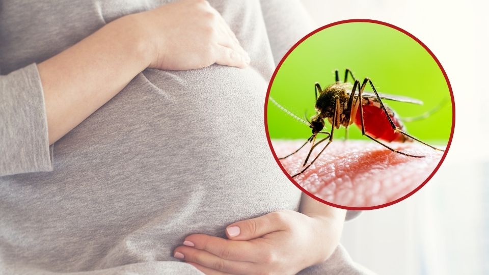 What complications can pregnant women with dengue fever experience?