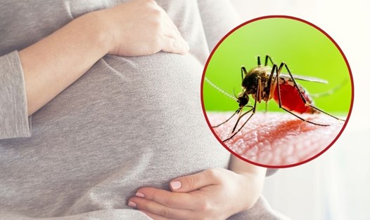 Bị sốt xuất huyết phụ nữ mang thai có thể gặp biến chứng gì?