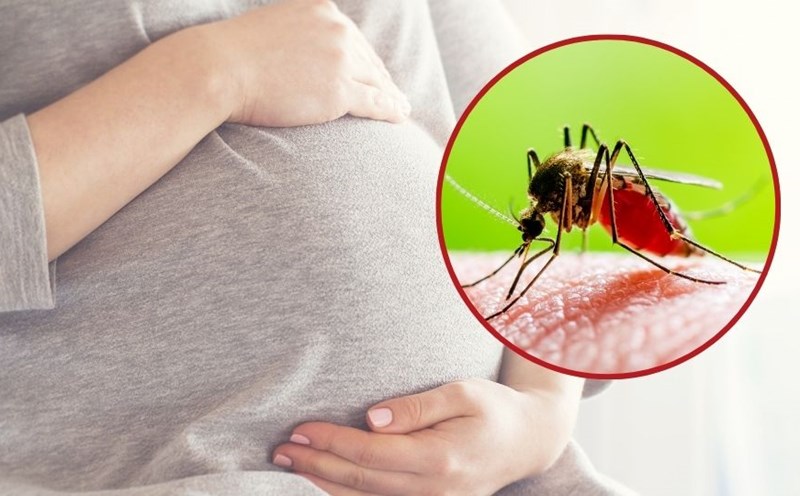 What complications can pregnant women with dengue fever experience?