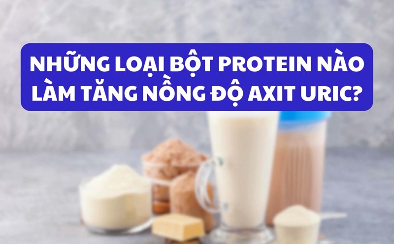 Which protein powders increase uric acid levels?