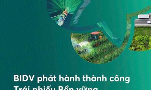 BIDV là ngân hàng thương mại dẫn đầu thị trường về tài trợ các dự án xanh. Ảnh: BIDV