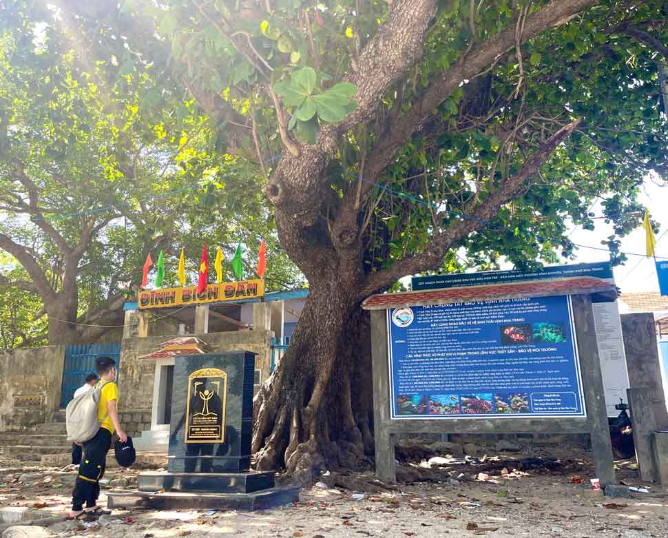 Dat buoc chan dau tien len hon dao nay du khach khong chi bi hut hon boi lan nuoc bien trong xanh ma con bi thu hut khi chiem nguong cay bang co thu 200 nam tuoi toa bong duoi dinh lang. Day cung la “cong vien” che cho, nghi ngoi cua ca lang.