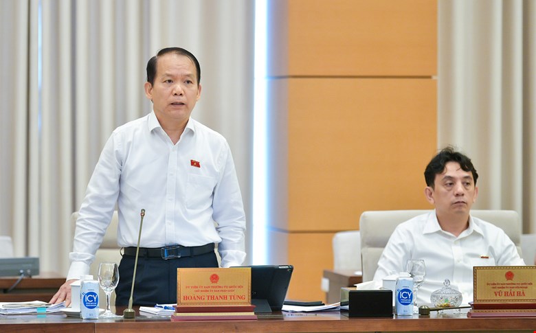 Chairman of the National Assembly's Law Committee Hoang Thanh Tung. Photo: Quochoi.vn