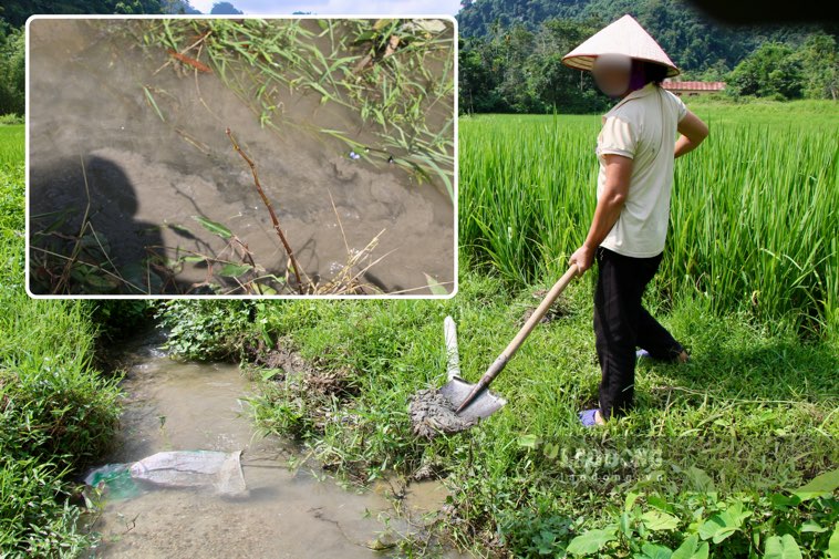 Bun thai quang tran vao dong ruong, dong suoi khien nguoi dan lo lang o nhiem moi truong, nguon nuoc.