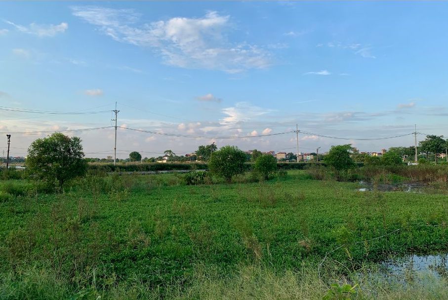 In case the Chairman of the District People's Committee decides on specific land prices. Photo: Phuong Anh