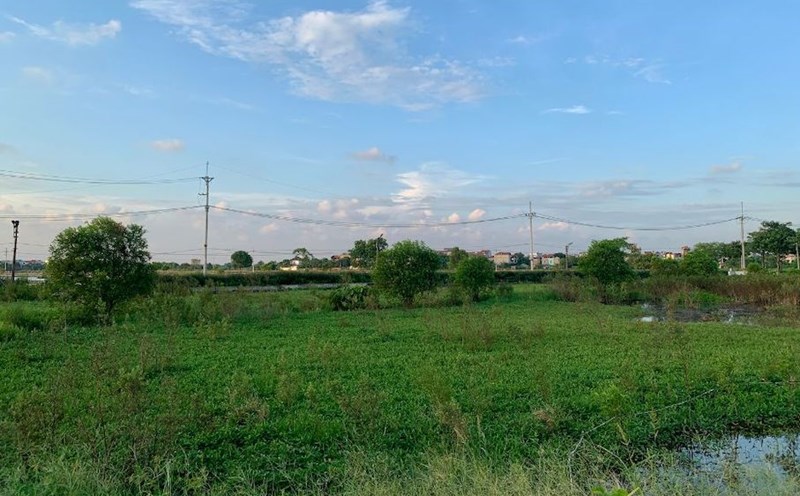 In case the Chairman of the District People's Committee decides on specific land prices. Photo: Phuong Anh