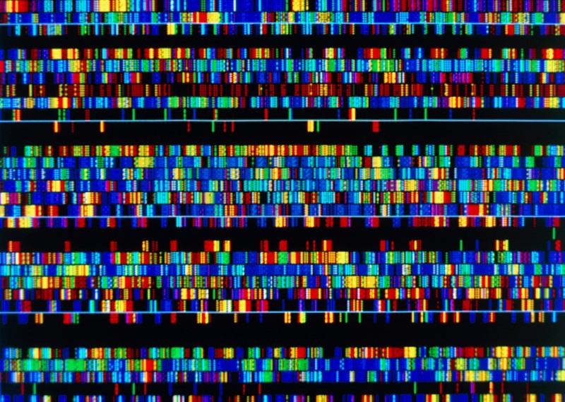 The complete human genome will help find clues related to disease-causing mutations and genetic variation. Photo: Nature