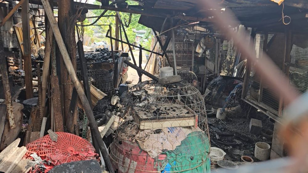 Fire in a house in Ho Chi Minh City destroyed many properties and pets. Photo: Dong Hoang