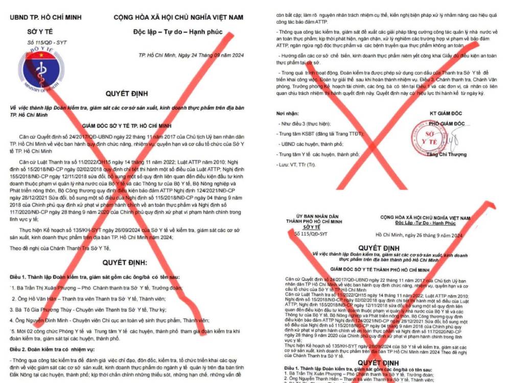 Văn bản giả mạo Thanh tra Sở Y tế TPHCM mà các đối tượng lừa đảo sử dụng để gửi tới người dân. Ảnh: Công an cung cấp