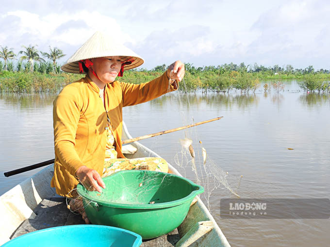 Danh bat ca bang cach giang luoi. Anh: Phuong Anh.