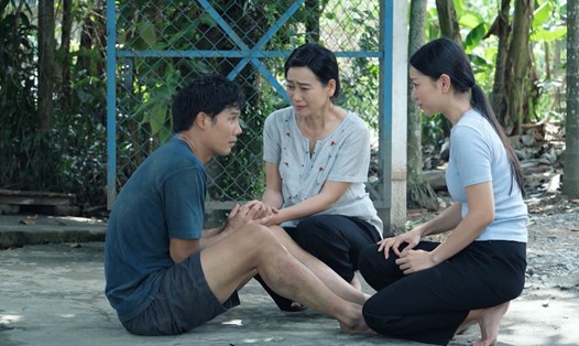 Phim "Mùa sậy trổ bông". Ảnh: NSX