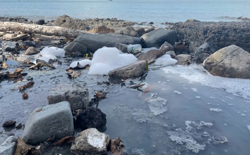 The turbid, foamy, foul-smelling wastewater is discharged directly into the Bai Truoc beach area. Photo: Bich Ngoc