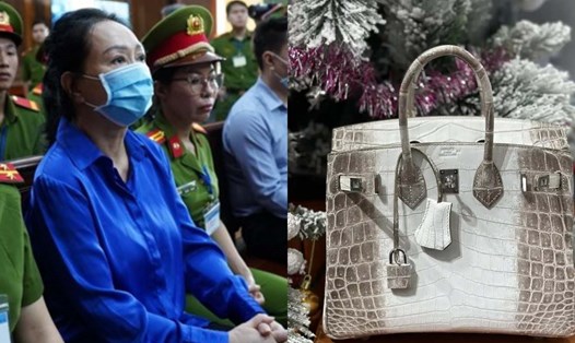 Bà Trương Mỹ Lan xin lại 2 chiếc túi Hermes bạch tạng. Ảnh: Anh Tú