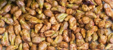 Đây là hạt của một loại trái cây quen thuộc có hỗ trợ giảm cân hiệu quả. Ảnh: Kiều Vũ