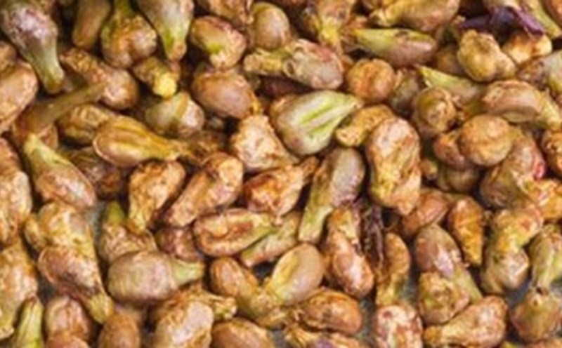 This is the seed of a familiar fruit that effectively supports weight loss. Photo: Kieu Vu