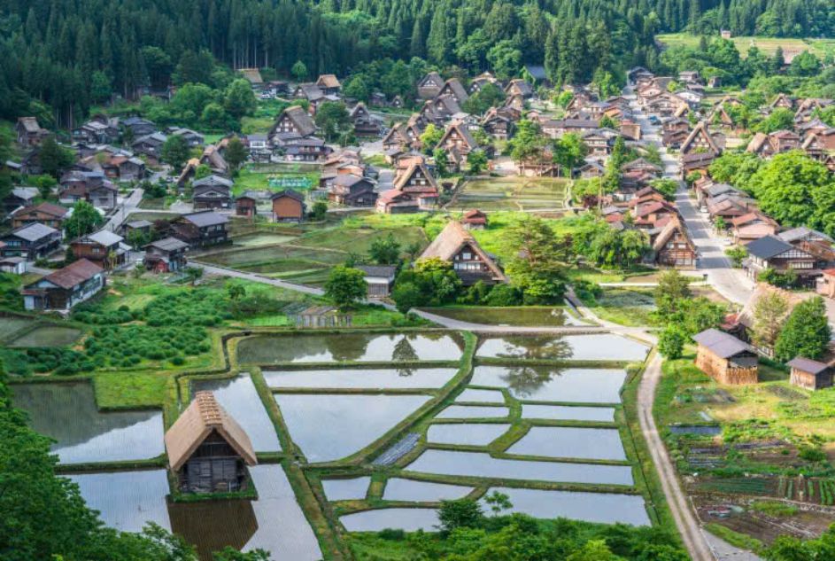Shirakawa-go village with about 100 gassho-zukuri thatched roof houses, vividly and authentically recreates the pre-industrial Japanese countryside scene. Photo: Japan National Tourism Organization (JNTO)