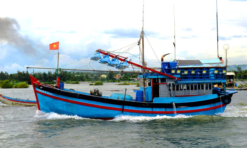 Quang Ngai province is making efforts to completely handle the situation of unregistered fishing vessels, uninspected vessels, and fishing vessels without fishing licenses before September 30, 2024. Photo: Vien Nguyen